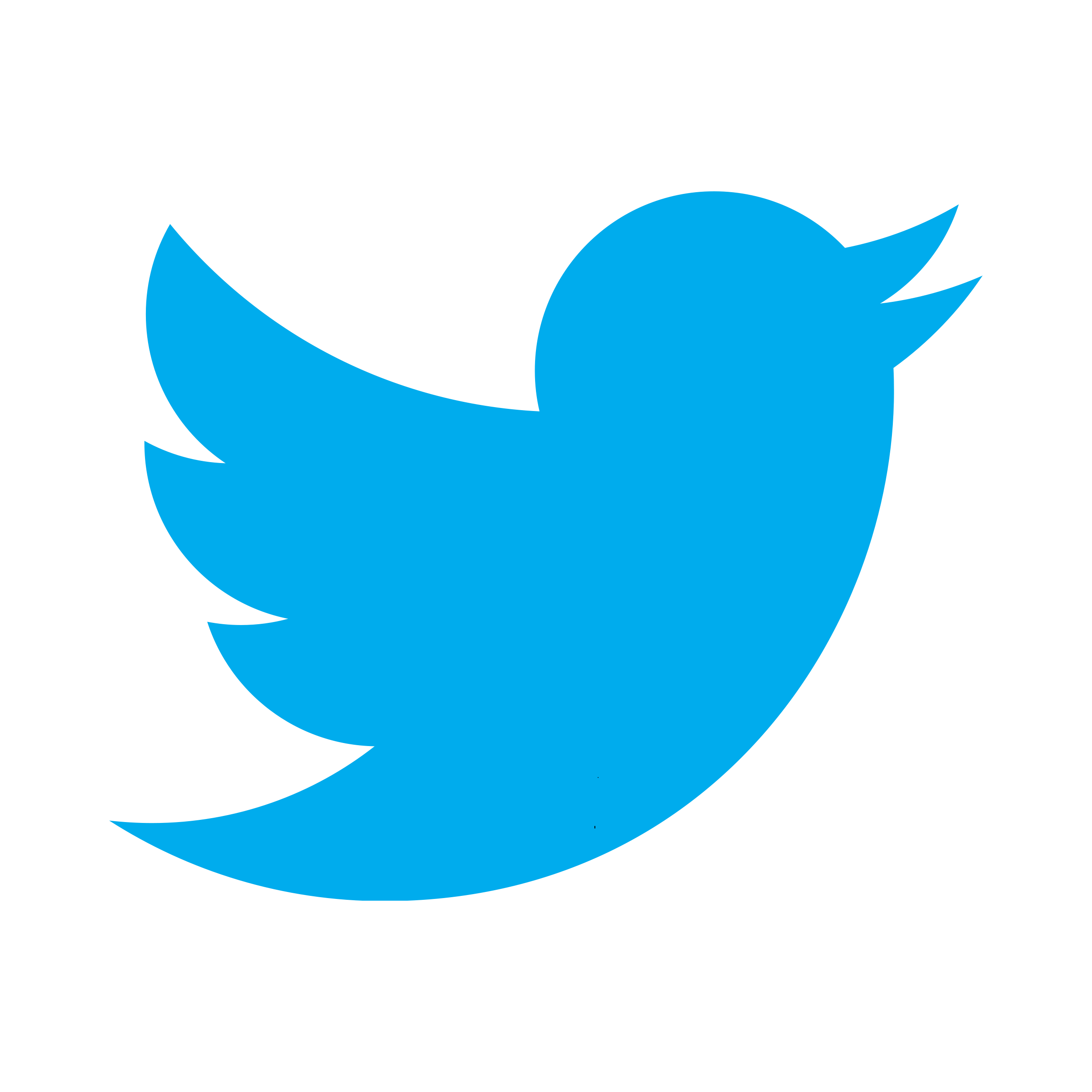 20160903181541!Twitter_bird_logo