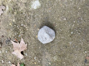 Vallejo. Piedra de Santiago de Chuco y gusano del Hospital de la Chariteì de Pariìs