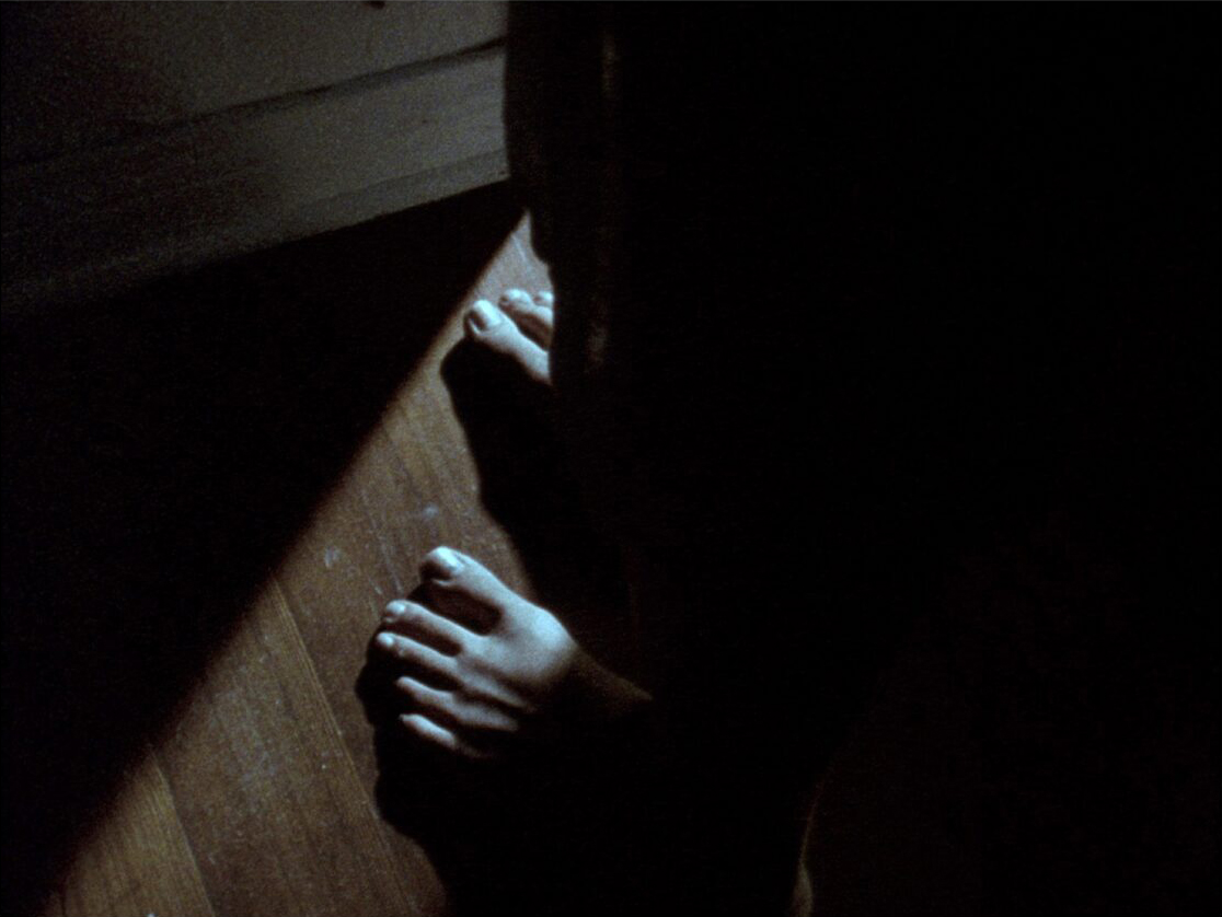 Amy Halpern